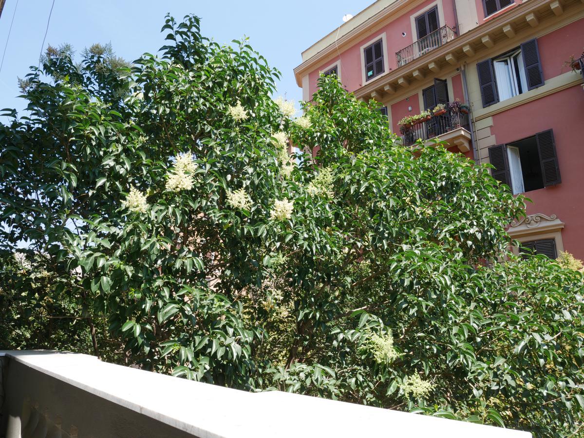 روما Nori Guest House المظهر الخارجي الصورة